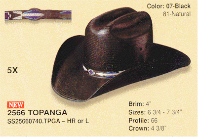 Topanga image.